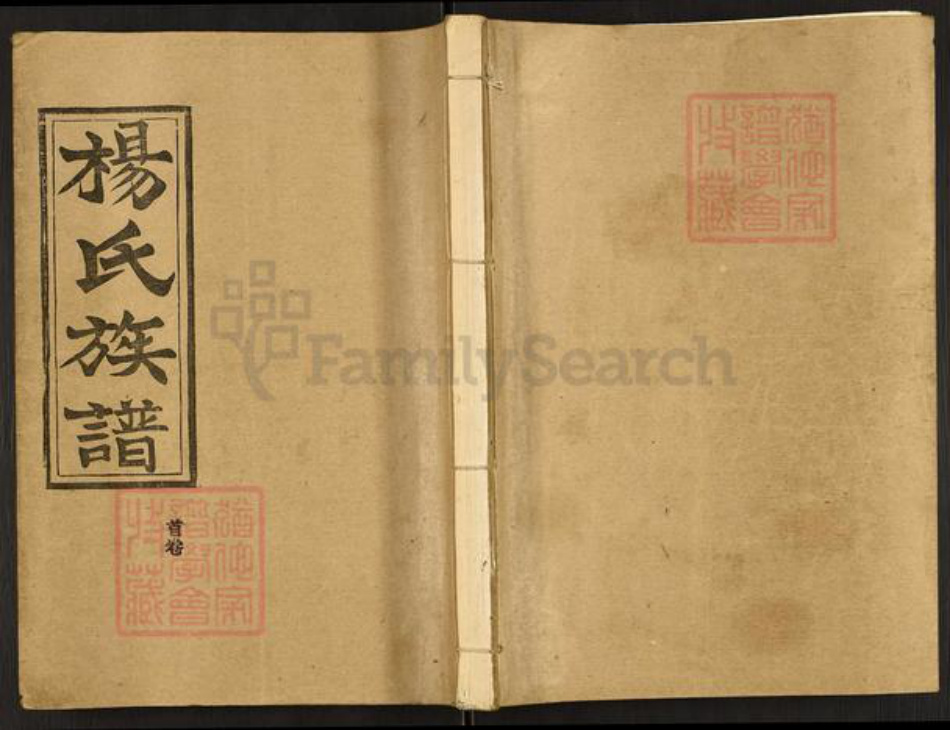 湖北省荆州市监利县杨氏四知堂族谱-杨氏族谱.pdf电子版