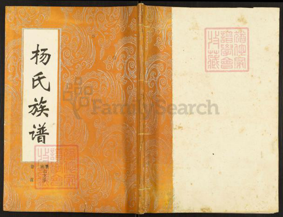 湖南省岳阳市华容县杨氏四知堂族谱-杨氏族谱.南墨山支系.pdf电子版