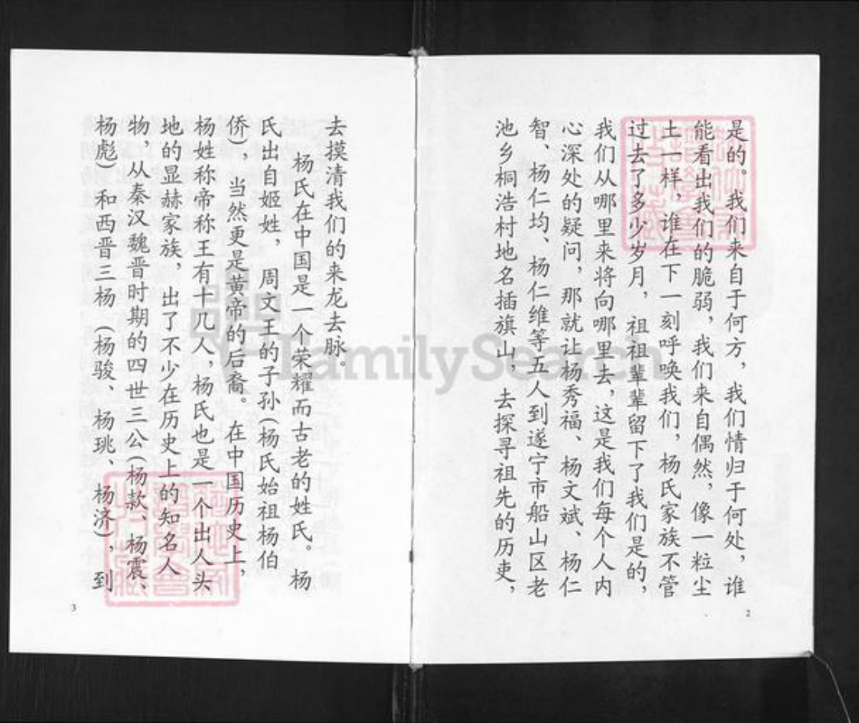 重庆市永川区双河口杨氏族谱-杨氏宗谱.pdf电子版插图4 重庆市永川区双河口杨氏族谱-杨氏宗谱.pdf电子版插图4