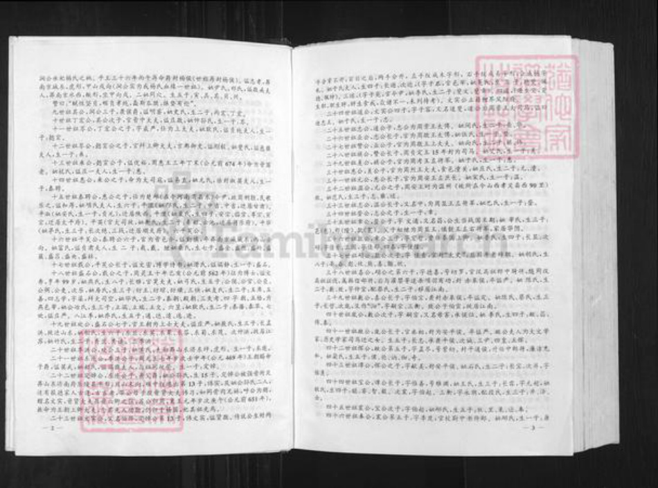 云南省曲靖市宣威市杨氏四知堂族谱-弘农郡.四知堂.杨敏公支系族谱.pdf电子版插图4