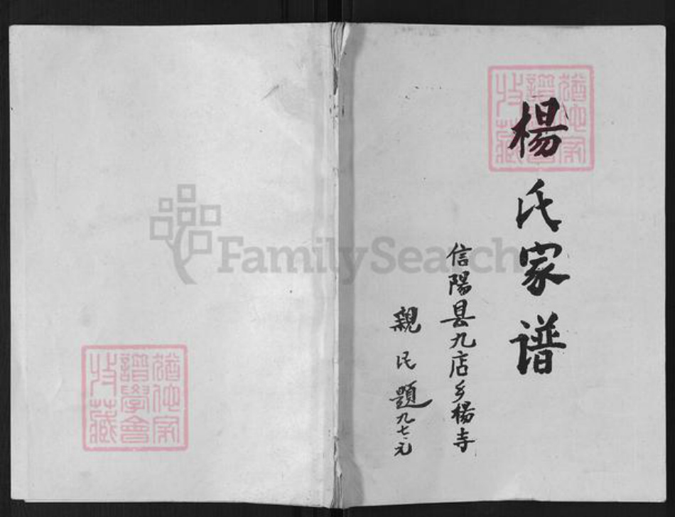 河南省信阳市杨氏族谱-杨氏家谱.pdf电子版插图