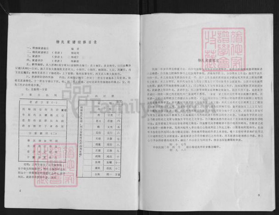 河南省信阳市杨氏族谱-杨氏家谱.pdf电子版插图2