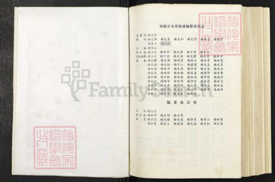 云南省曲靖市宣威市杨氏四知堂族谱-杨敏公支系族谱.pdf电子版插图4