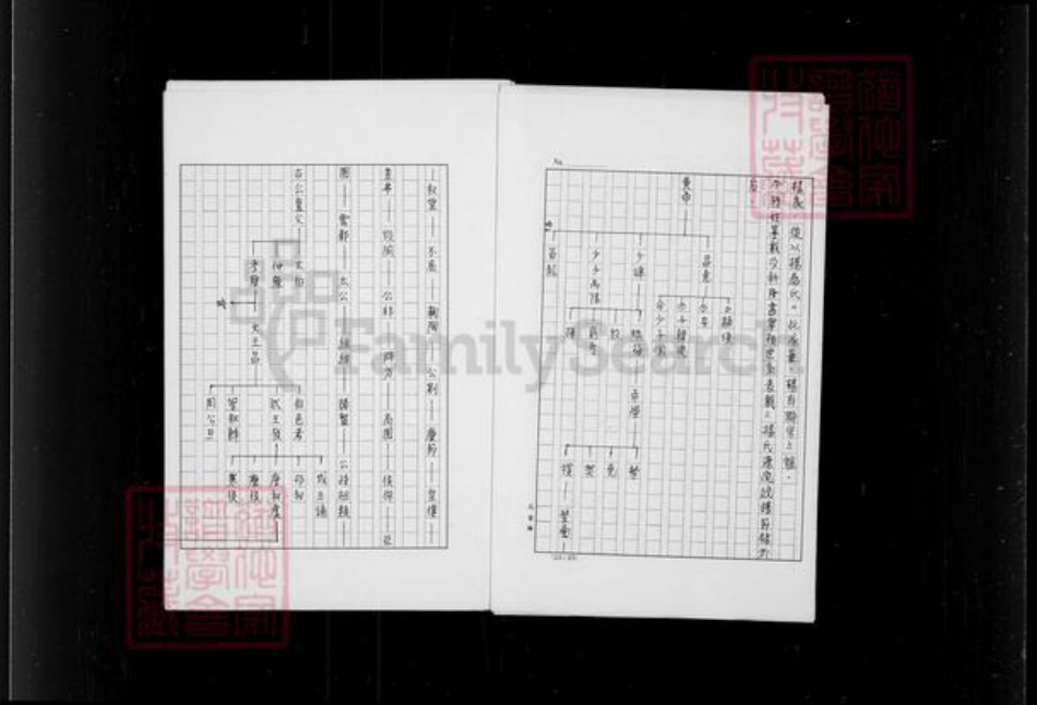 四川省宜宾市高县杨氏族谱-杨氏族谱.pdf电子版插图4