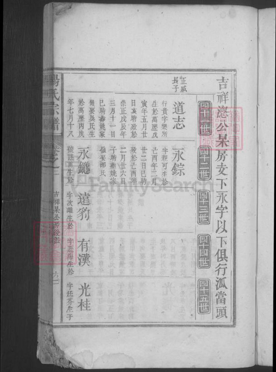 江西省九江市湖口县杨氏族谱-杨氏宗谱.pdf电子版插图3 江西省九江市湖口县杨氏族谱-杨氏宗谱.pdf电子版插图3