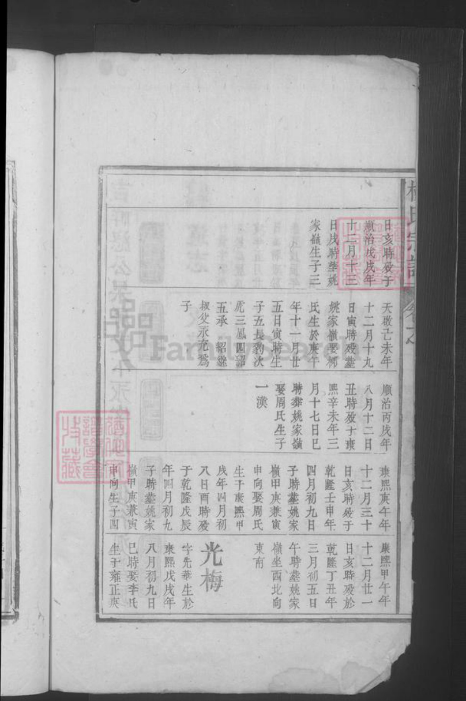 江西省九江市湖口县杨氏族谱-杨氏宗谱.pdf电子版插图4 江西省九江市湖口县杨氏族谱-杨氏宗谱.pdf电子版插图4