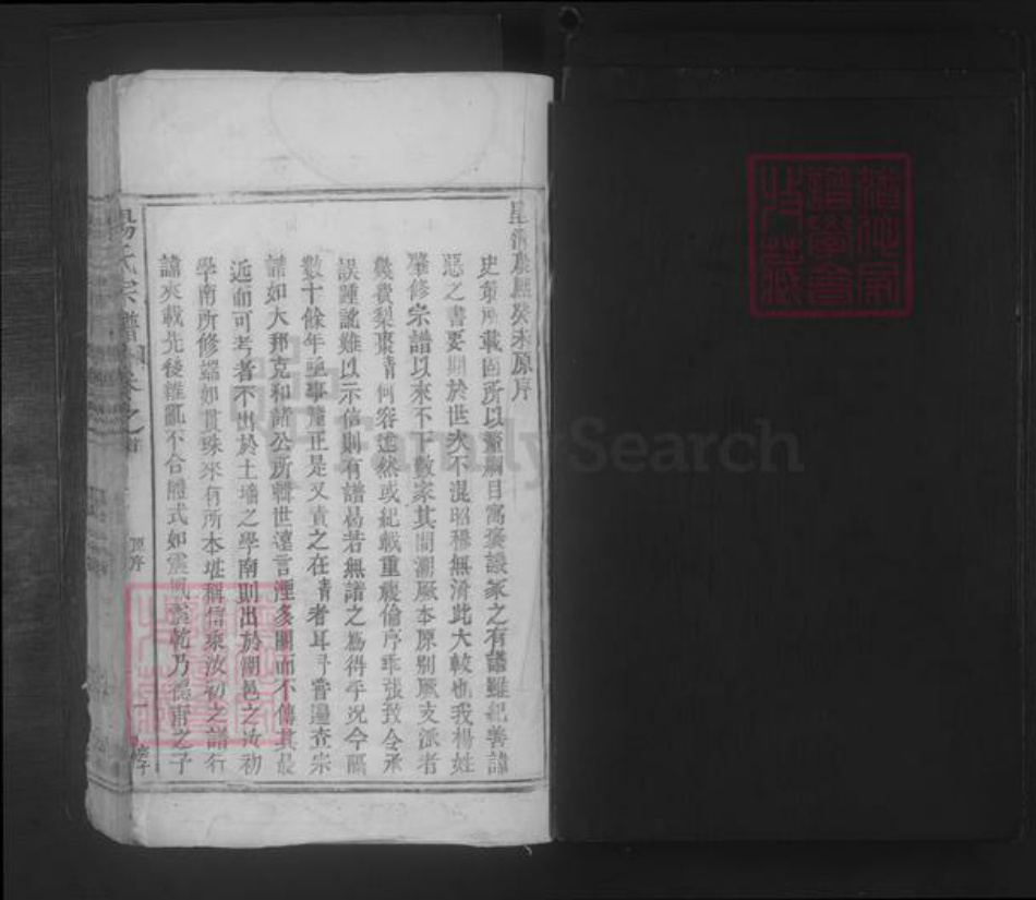 江西省九江市都昌县杨氏族谱-杨氏宗谱 [4卷,首1卷].pdf电子版插图1