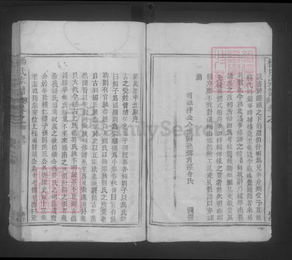 江西省九江市都昌县杨氏族谱-杨氏宗谱 [4卷,首1卷].pdf电子版插图2