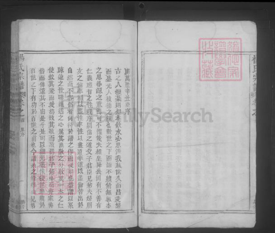 江西省九江市都昌县杨氏族谱-杨氏宗谱 [4卷,首1卷].pdf电子版插图4