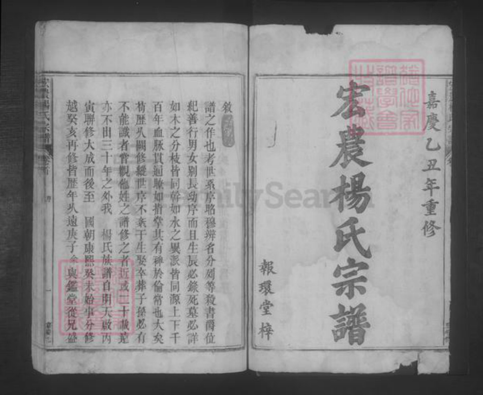 江西省九江市都昌县杨氏族谱-宏农杨氏宗谱 [3卷,首1卷].pdf电子版插图1