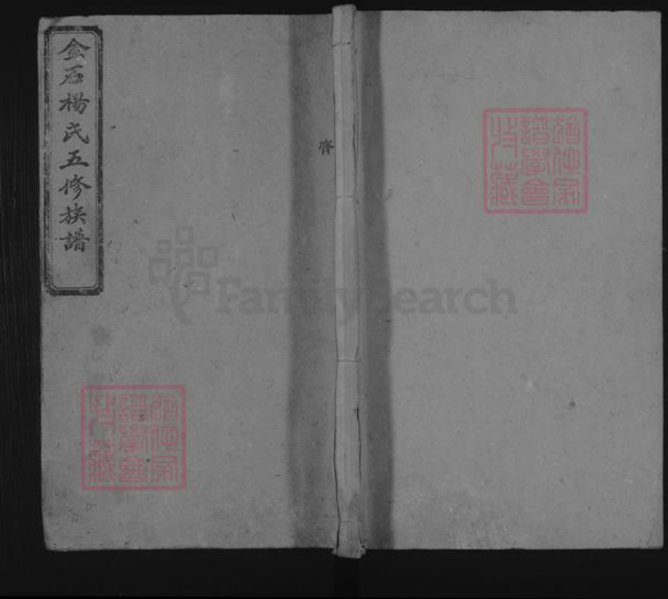 湖南省湘潭市湘乡市湘乡杨氏族谱-杨氏五修族谱 [4卷].pdf电子版插图