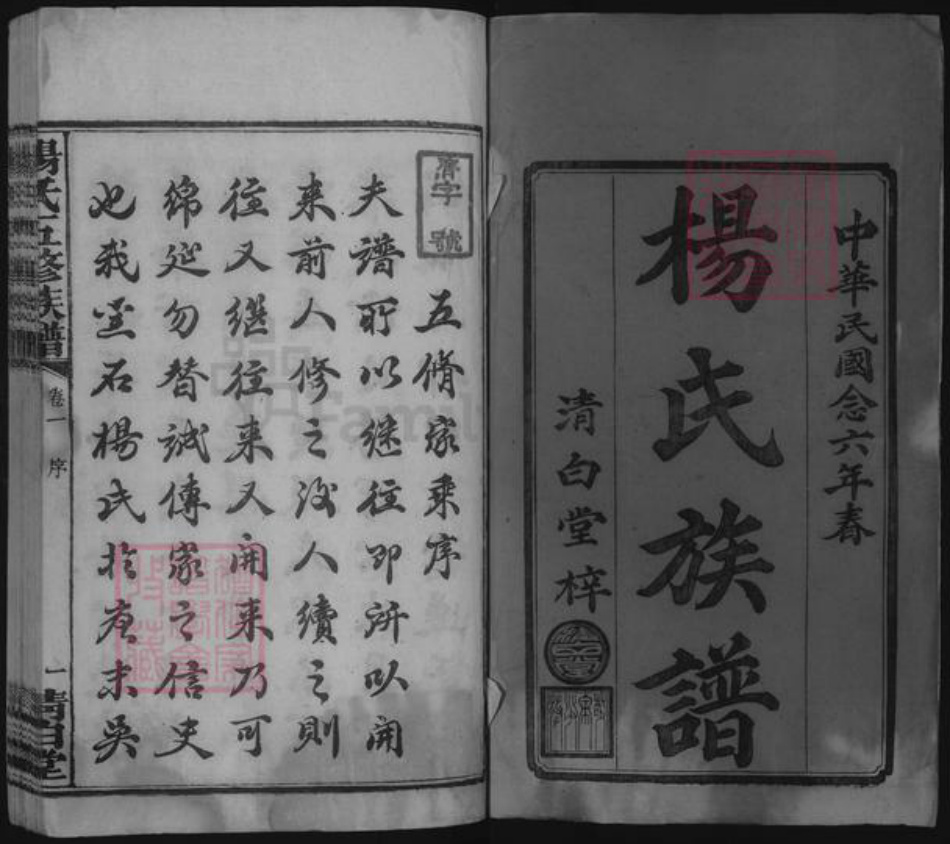 湖南省湘潭市湘乡市湘乡杨氏族谱-杨氏五修族谱 [4卷].pdf电子版插图1