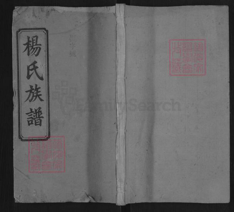 湖南省长沙市雨花区杨氏宏农堂族谱-杨氏族谱.pdf电子版