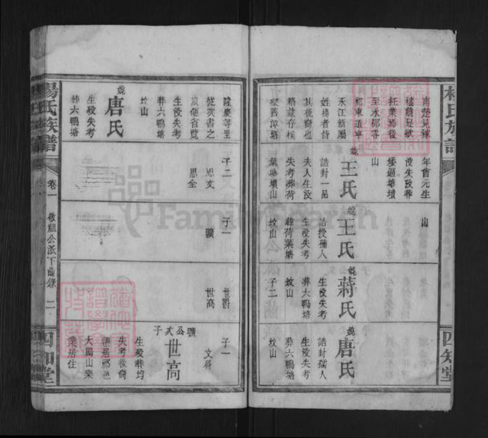 湖南省永州市杨氏四知堂族谱-杨氏族谱.pdf电子版插图2 湖南省永州市杨氏四知堂族谱-杨氏族谱.pdf电子版插图2
