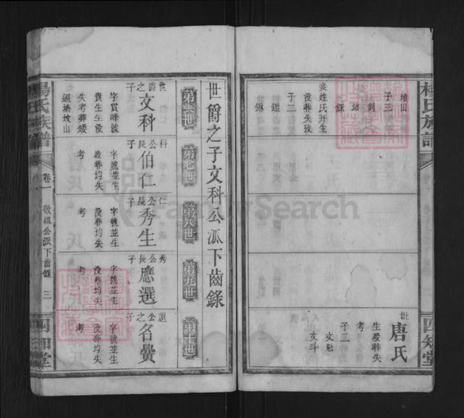 湖南省永州市杨氏四知堂族谱-杨氏族谱.pdf电子版插图3 湖南省永州市杨氏四知堂族谱-杨氏族谱.pdf电子版插图3