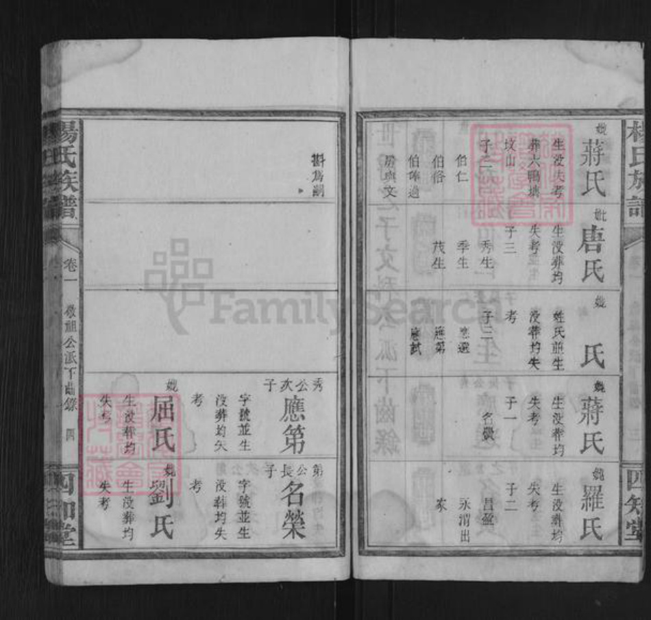 湖南省永州市杨氏四知堂族谱-杨氏族谱.pdf电子版插图4 湖南省永州市杨氏四知堂族谱-杨氏族谱.pdf电子版插图4