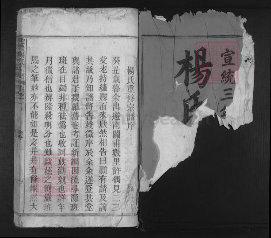 安徽省池州市东至县张溪镇杨氏族谱-宏农杨氏宗谱.pdf电子版插图1 安徽省池州市东至县张溪镇杨氏族谱-宏农杨氏宗谱.pdf电子版插图1
