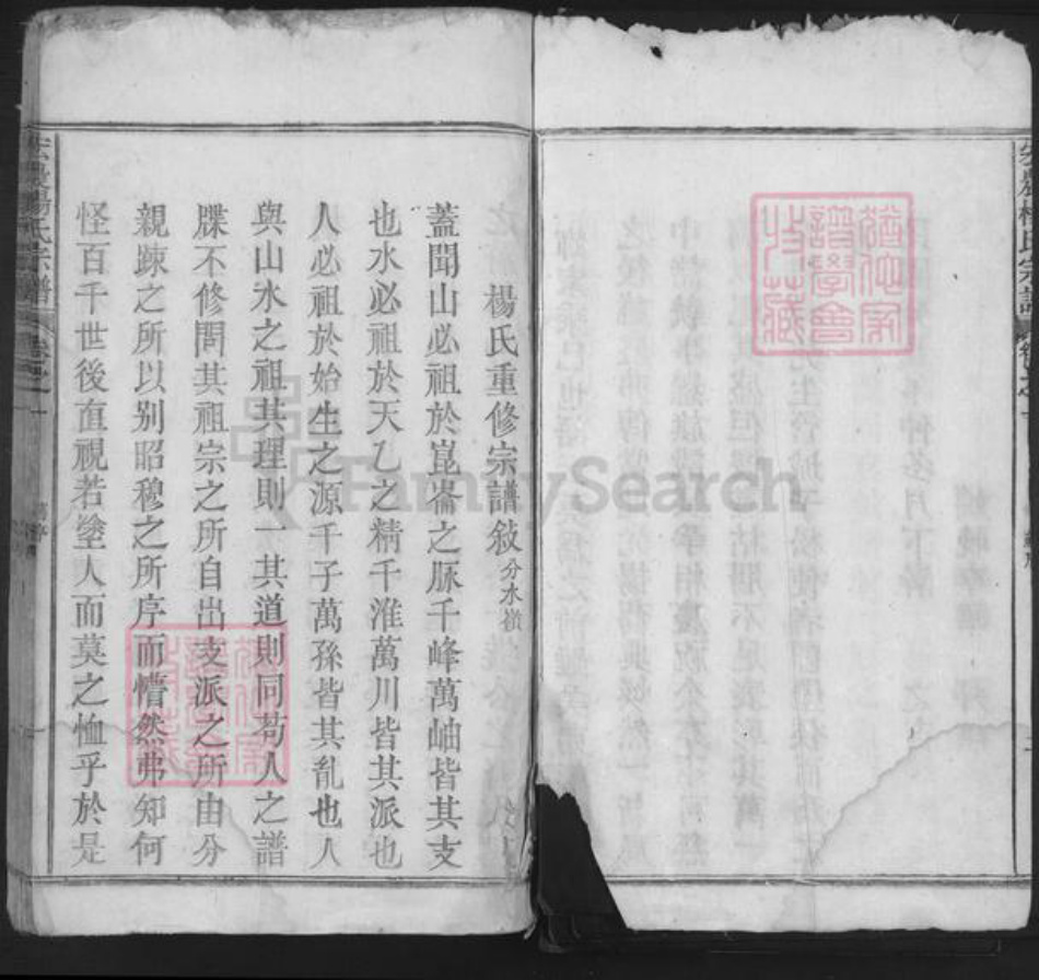 安徽省池州市东至县张溪镇杨氏族谱-宏农杨氏宗谱.pdf电子版插图3 安徽省池州市东至县张溪镇杨氏族谱-宏农杨氏宗谱.pdf电子版插图3