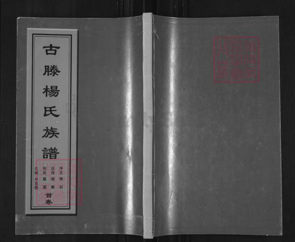 山东省枣庄市滕州市官桥镇杨氏四知堂族谱-古滕杨氏族谱.pdf电子版插图 山东省枣庄市滕州市官桥镇杨氏四知堂族谱-古滕杨氏族谱.pdf电子版插图