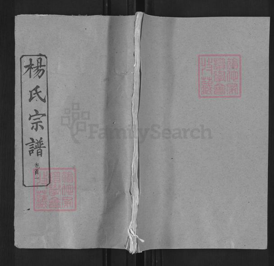 湖北省武汉市新洲区杨氏清白堂族谱-杨氏宗谱.pdf电子版插图 湖北省武汉市新洲区杨氏清白堂族谱-杨氏宗谱.pdf电子版插图