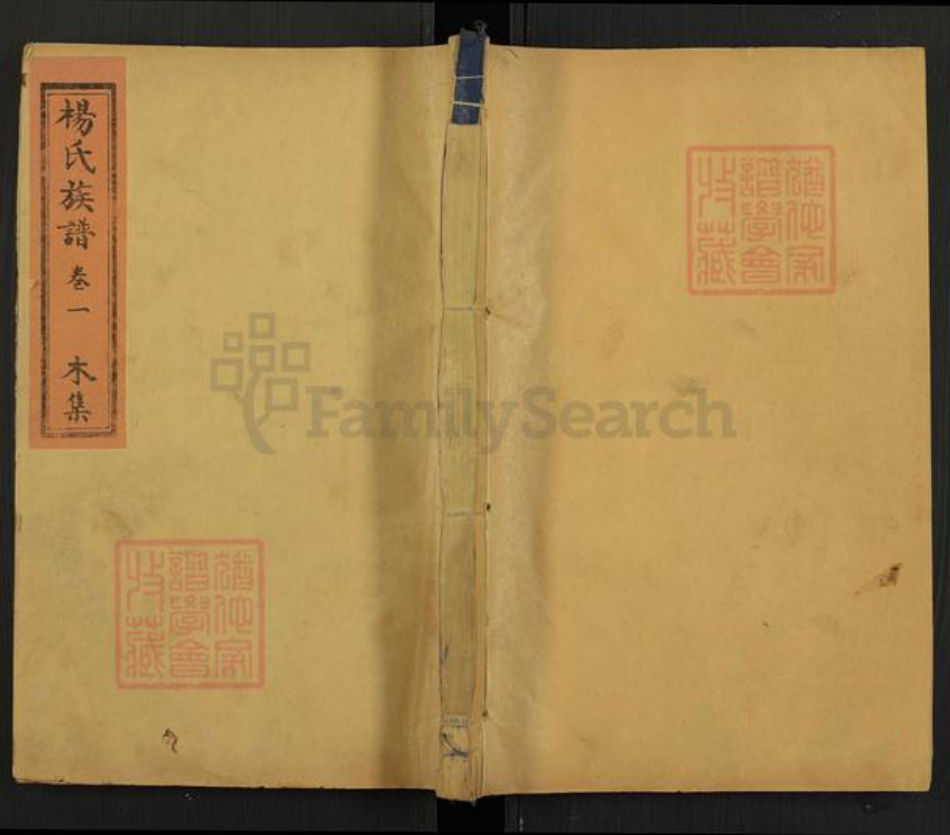 山东省泰安市杨氏中和堂族谱-杨氏族谱.pdf电子版