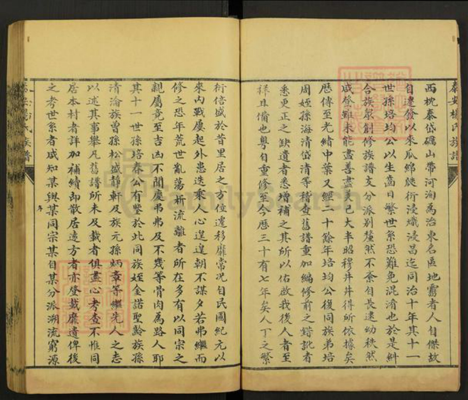 山东省泰安市杨氏中和堂族谱-杨氏族谱.pdf电子版插图3 山东省泰安市杨氏中和堂族谱-杨氏族谱.pdf电子版插图3