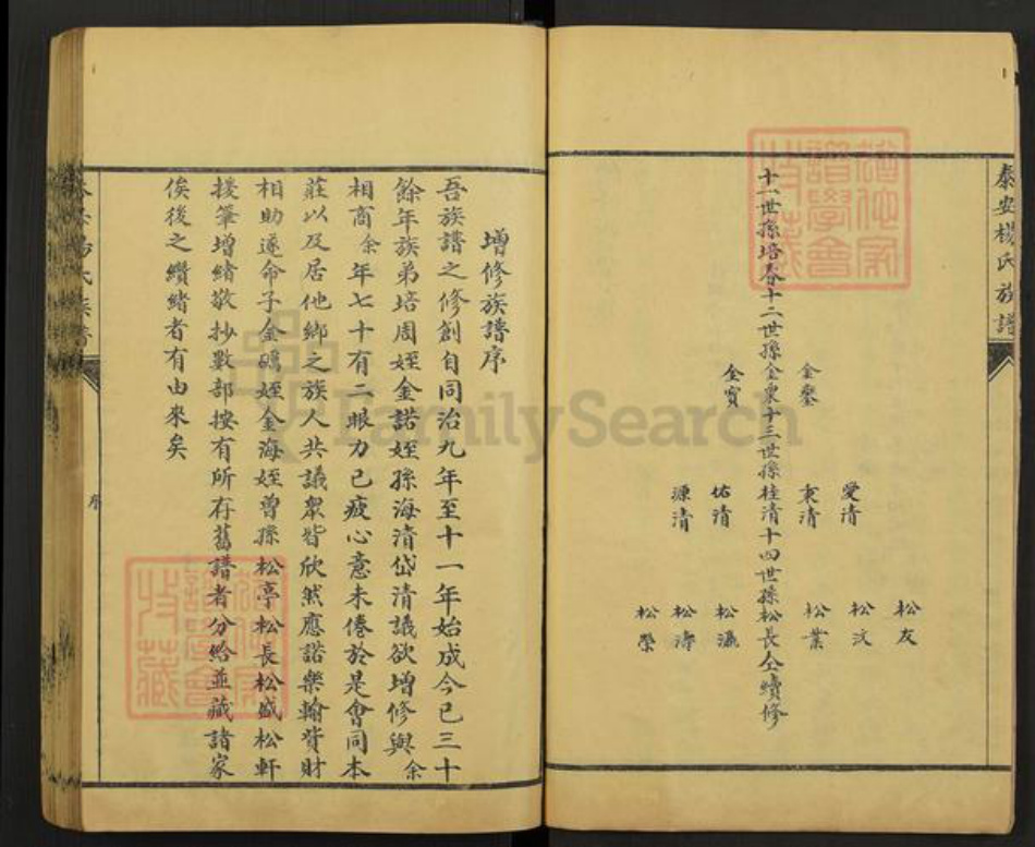 山东省泰安市杨氏中和堂族谱-杨氏族谱.pdf电子版插图5 山东省泰安市杨氏中和堂族谱-杨氏族谱.pdf电子版插图5