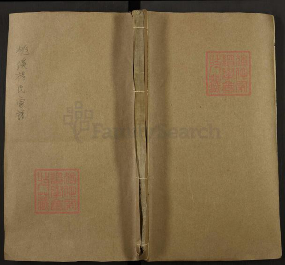 江西省吉安市新干县桃溪乡杨氏族谱-桃溪杨氏家谱.pdf电子版