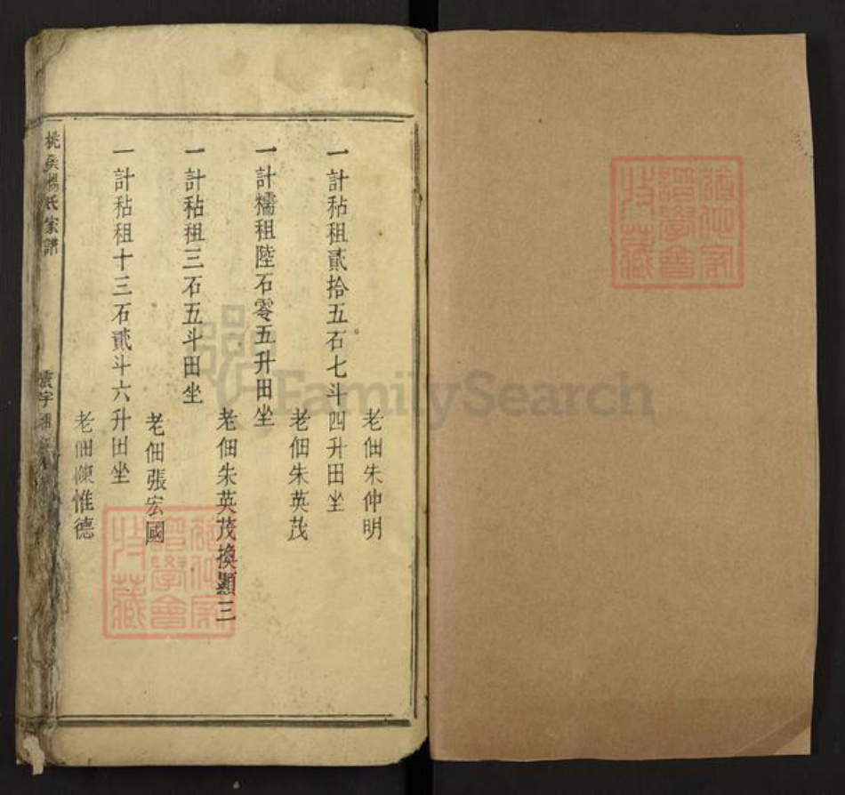 江西省吉安市新干县桃溪乡杨氏族谱-桃溪杨氏家谱.pdf电子版插图1 江西省吉安市新干县桃溪乡杨氏族谱-桃溪杨氏家谱.pdf电子版插图1