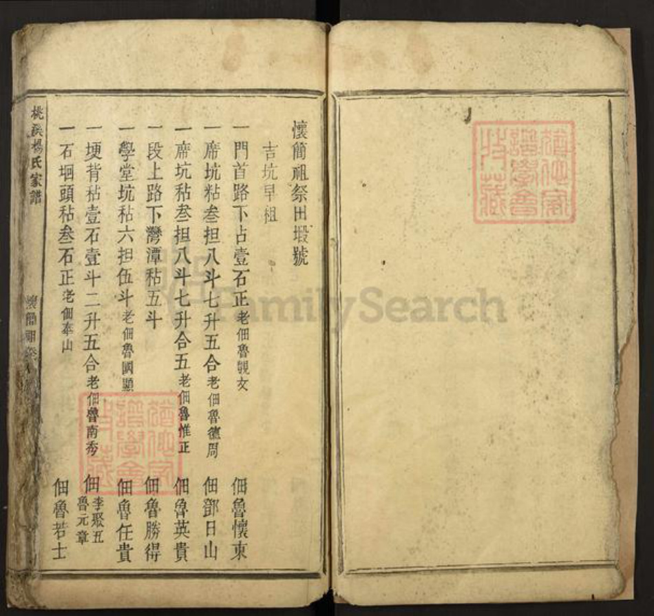 江西省吉安市新干县桃溪乡杨氏族谱-桃溪杨氏家谱.pdf电子版插图3 江西省吉安市新干县桃溪乡杨氏族谱-桃溪杨氏家谱.pdf电子版插图3