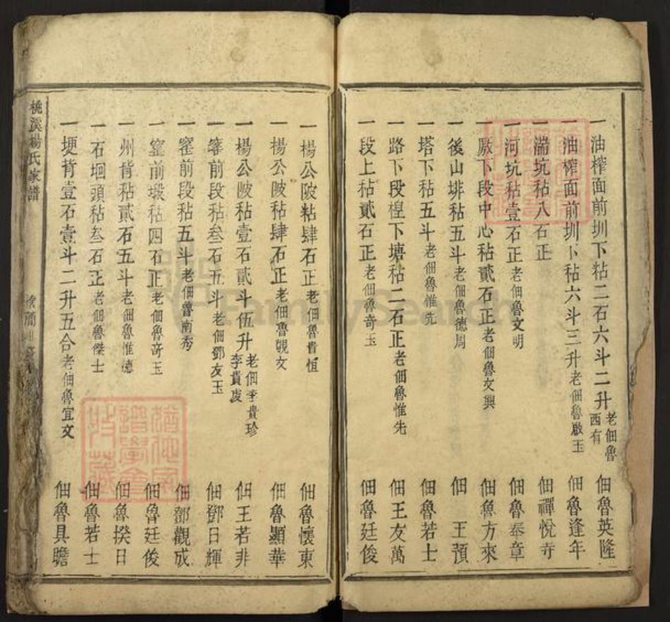 江西省吉安市新干县桃溪乡杨氏族谱-桃溪杨氏家谱.pdf电子版插图4 江西省吉安市新干县桃溪乡杨氏族谱-桃溪杨氏家谱.pdf电子版插图4