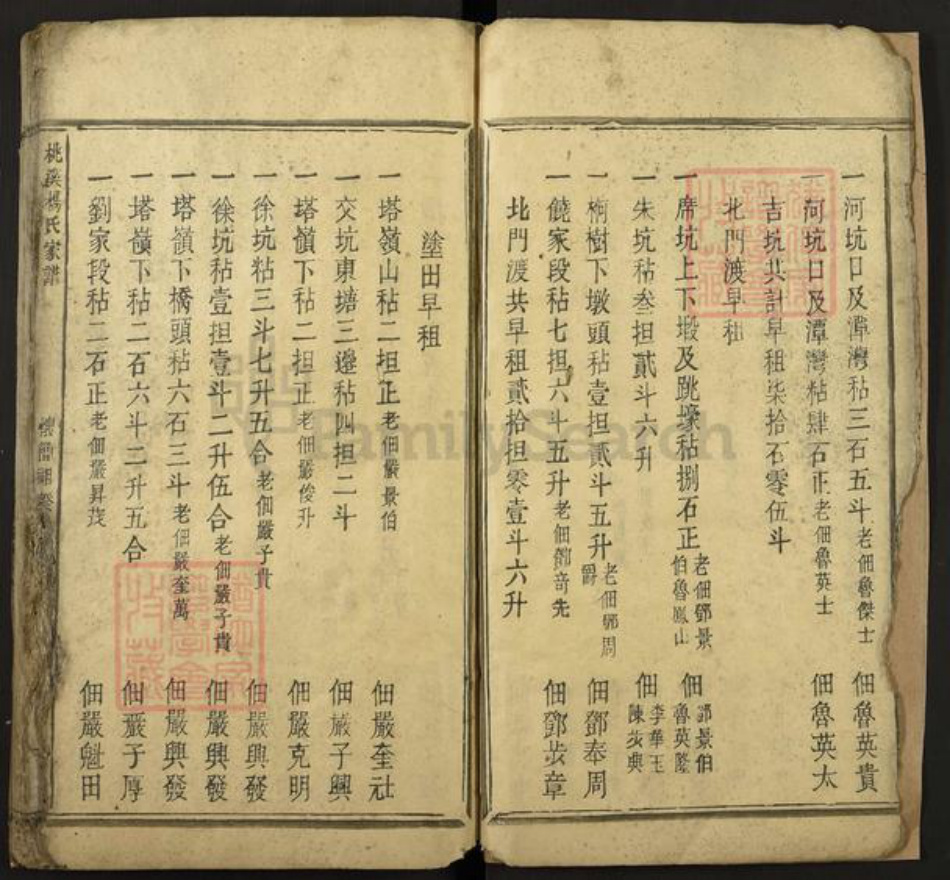 江西省吉安市新干县桃溪乡杨氏族谱-桃溪杨氏家谱.pdf电子版插图5 江西省吉安市新干县桃溪乡杨氏族谱-桃溪杨氏家谱.pdf电子版插图5