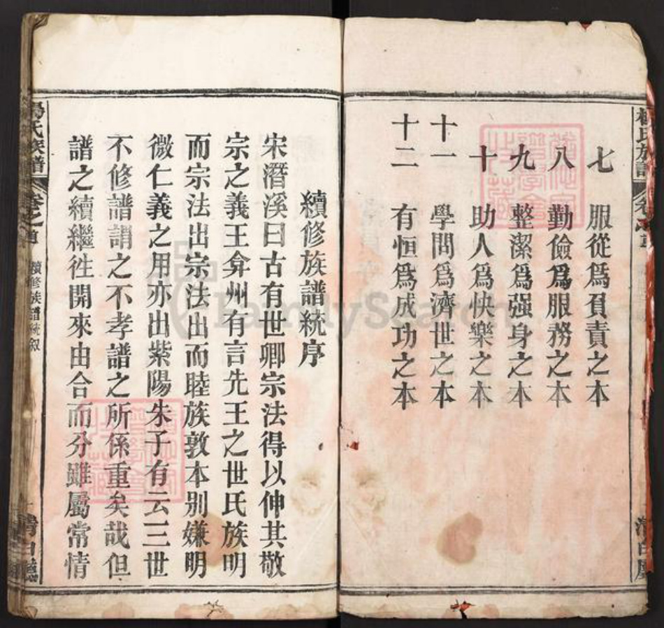 湖北省黄冈市麻城市杨氏族谱-杨氏族谱.pdf电子版插图2 湖北省黄冈市麻城市杨氏族谱-杨氏族谱.pdf电子版插图2