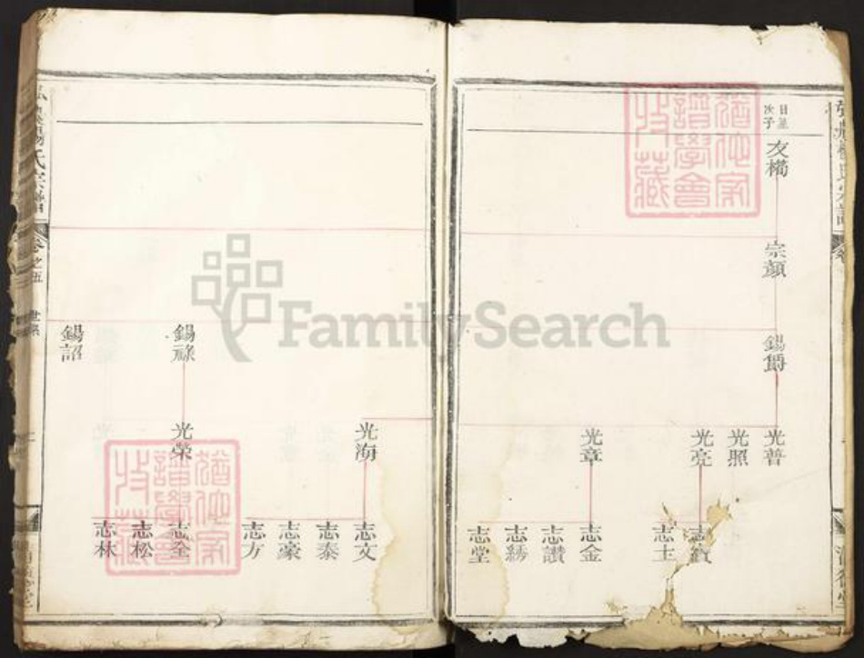 河南省杨氏清德堂族谱-弘农杨氏宗谱.pdf电子版插图2 河南省杨氏清德堂族谱-弘农杨氏宗谱.pdf电子版插图2