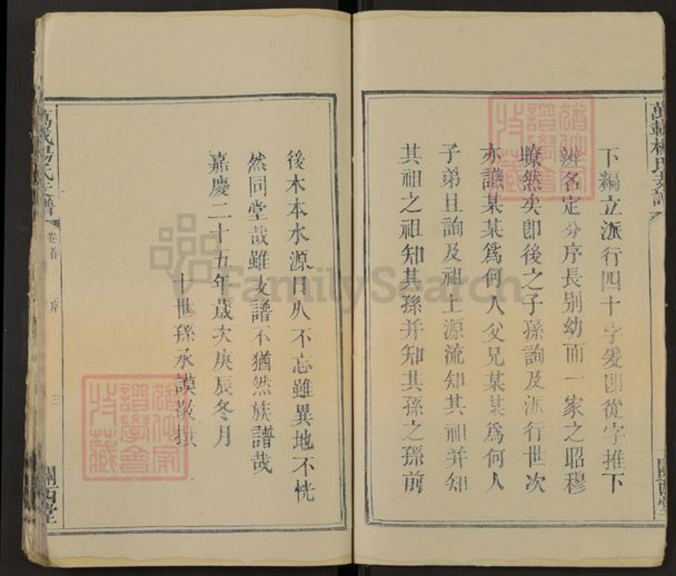 江西省宜春市万载县株潭镇杨氏关西堂族谱-万载杨氏支谱.pdf电子版插图5 江西省宜春市万载县株潭镇杨氏关西堂族谱-万载杨氏支谱.pdf电子版插图5
