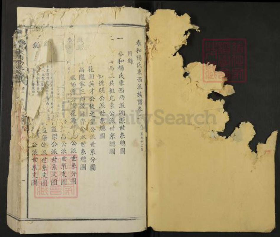 江西省吉安市泰和市杨氏族谱-泰和杨氏东西溪族谱.pdf电子版插图1 江西省吉安市泰和市杨氏族谱-泰和杨氏东西溪族谱.pdf电子版插图1