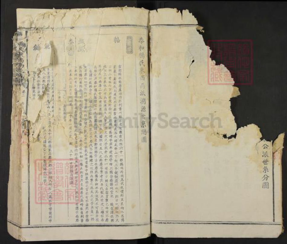 江西省吉安市泰和市杨氏族谱-泰和杨氏东西溪族谱.pdf电子版插图2 江西省吉安市泰和市杨氏族谱-泰和杨氏东西溪族谱.pdf电子版插图2