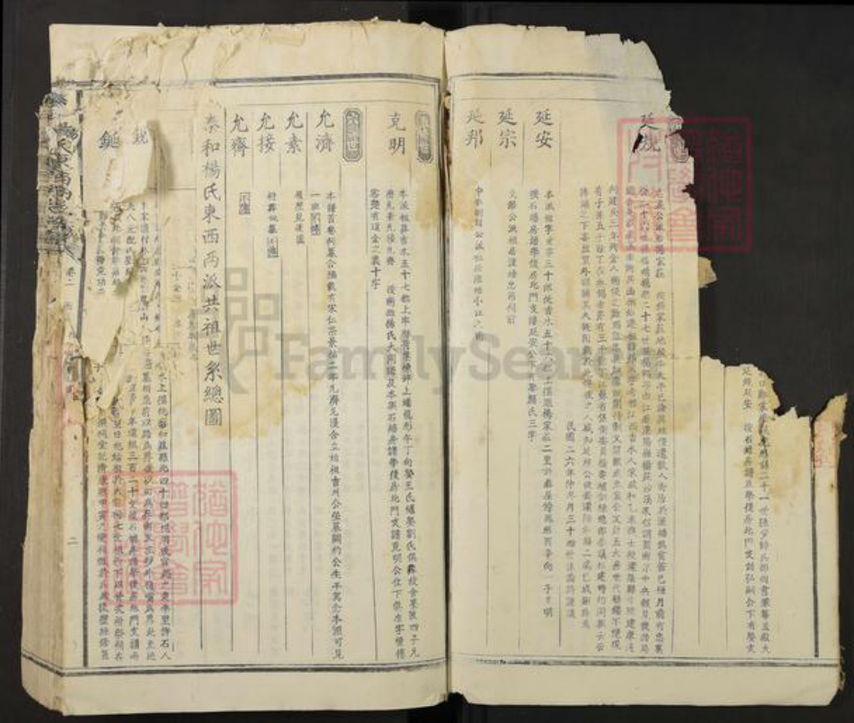 江西省吉安市泰和市杨氏族谱-泰和杨氏东西溪族谱.pdf电子版插图3 江西省吉安市泰和市杨氏族谱-泰和杨氏东西溪族谱.pdf电子版插图3