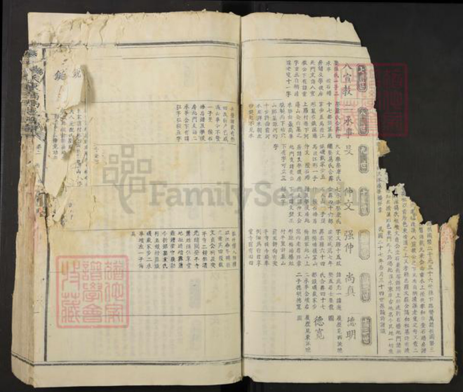江西省吉安市泰和市杨氏族谱-泰和杨氏东西溪族谱.pdf电子版插图4 江西省吉安市泰和市杨氏族谱-泰和杨氏东西溪族谱.pdf电子版插图4