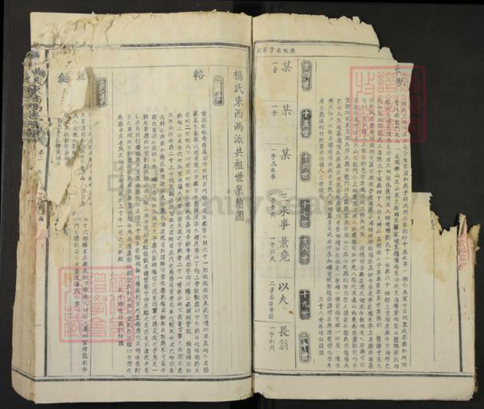 江西省吉安市泰和市杨氏族谱-泰和杨氏东西溪族谱.pdf电子版插图5 江西省吉安市泰和市杨氏族谱-泰和杨氏东西溪族谱.pdf电子版插图5