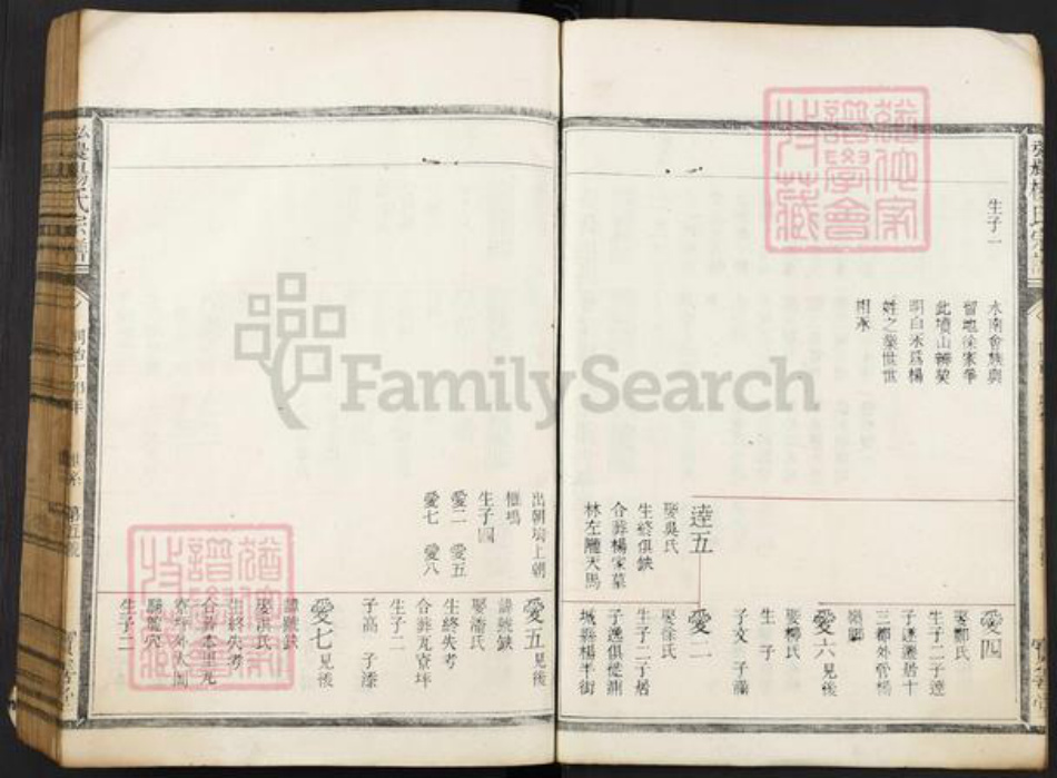 浙江省丽水市松阳县安民乡杨氏宝善堂族谱-弘农杨氏宗谱.pdf电子版插图5 浙江省丽水市松阳县安民乡杨氏宝善堂族谱-弘农杨氏宗谱.pdf电子版插图5