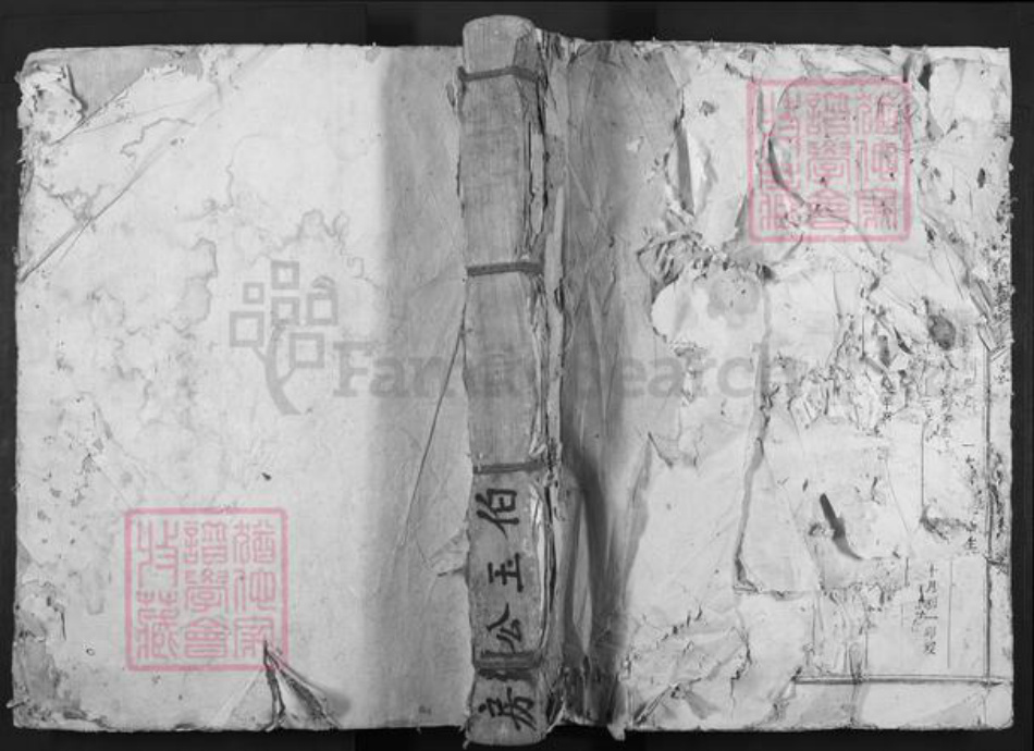 江西省赣州市兴国县鼎龙乡杨氏族谱-琴源杨氏十二修族谱.pdf电子版
