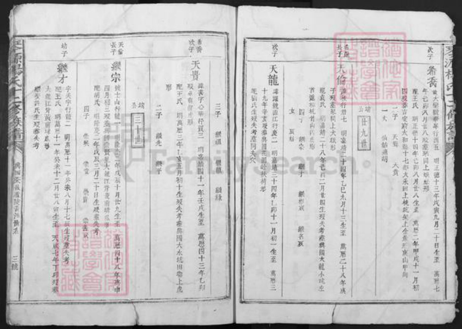 江西省赣州市兴国县鼎龙乡杨氏族谱-琴源杨氏十二修族谱.pdf电子版插图3 江西省赣州市兴国县鼎龙乡杨氏族谱-琴源杨氏十二修族谱.pdf电子版插图3