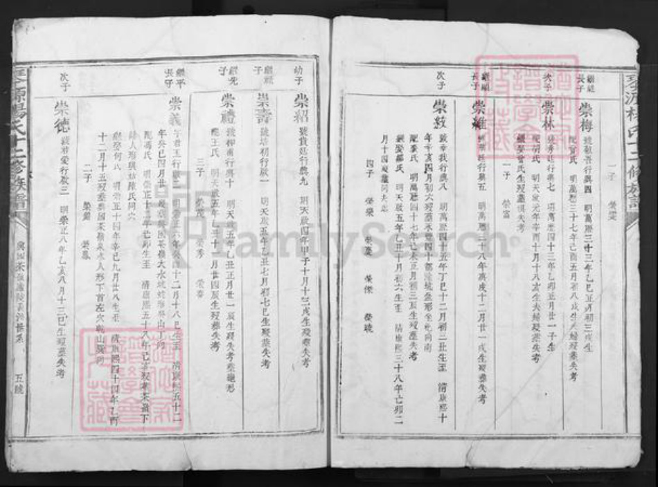 江西省赣州市兴国县鼎龙乡杨氏族谱-琴源杨氏十二修族谱.pdf电子版插图5 江西省赣州市兴国县鼎龙乡杨氏族谱-琴源杨氏十二修族谱.pdf电子版插图5
