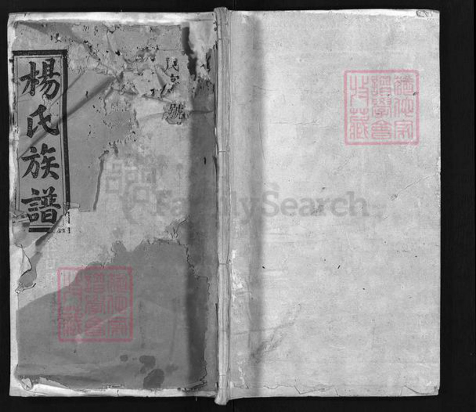 湖南省邵阳市隆回县沅江杨氏道南堂族谱-杨氏族谱 [6卷,首4卷].pdf电子版插图1