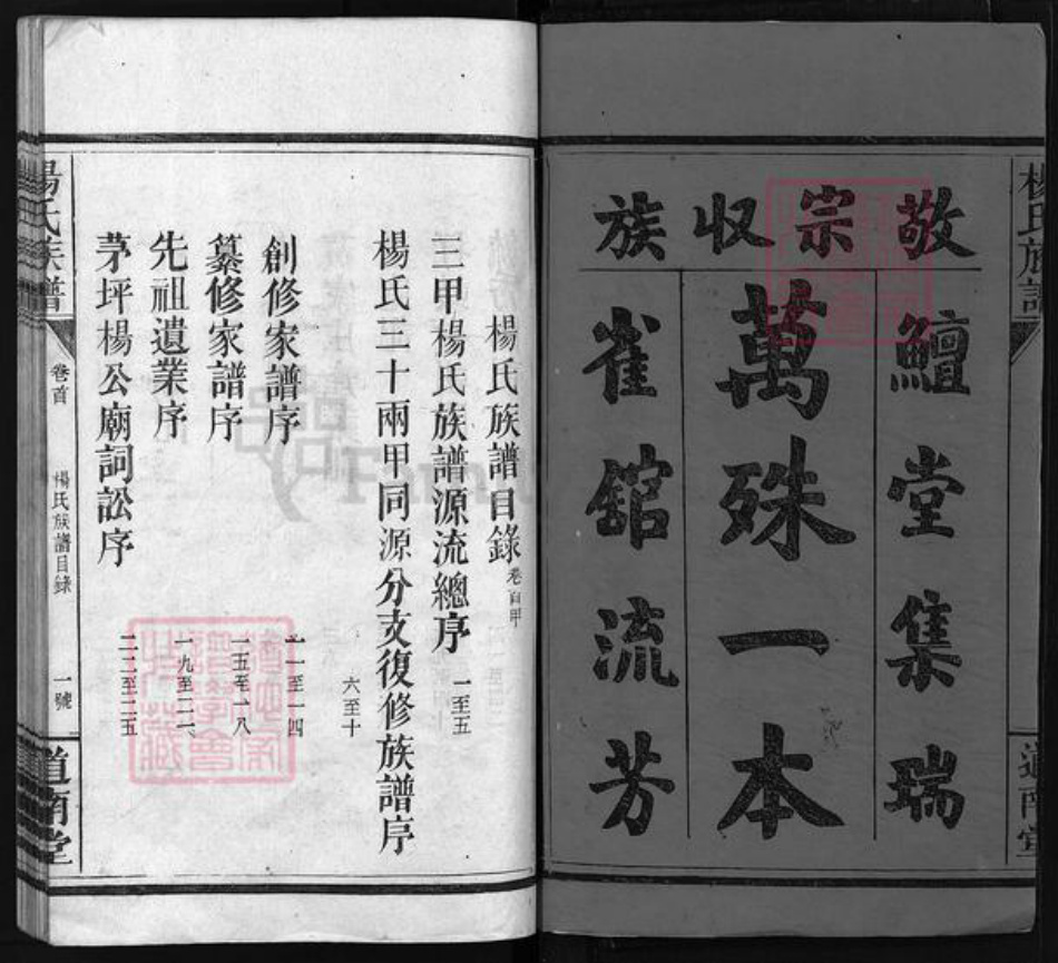 湖南省邵阳市隆回县沅江杨氏道南堂族谱-杨氏族谱 [6卷,首4卷].pdf电子版插图3