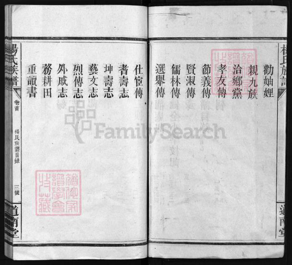 湖南省邵阳市隆回县沅江杨氏道南堂族谱-杨氏族谱 [6卷,首4卷].pdf电子版插图5