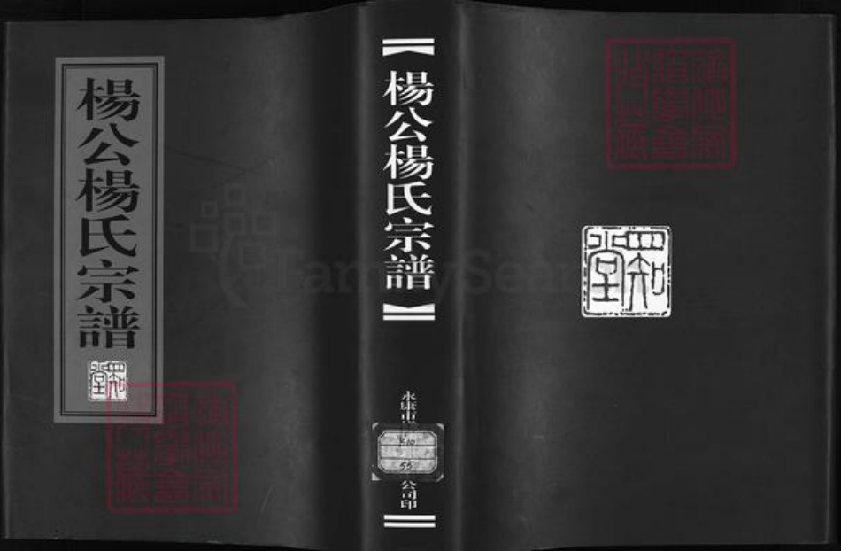 浙江省金华市永康市杨氏族谱-杨公杨氏宗谱 [4卷].pdf电子版插图1