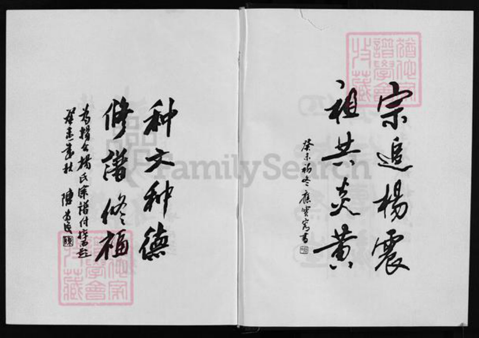 浙江省金华市永康市杨氏族谱-杨公杨氏宗谱 [4卷].pdf电子版插图4