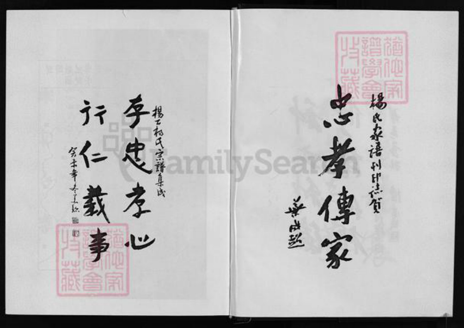 浙江省金华市永康市杨氏族谱-杨公杨氏宗谱 [4卷].pdf电子版插图5